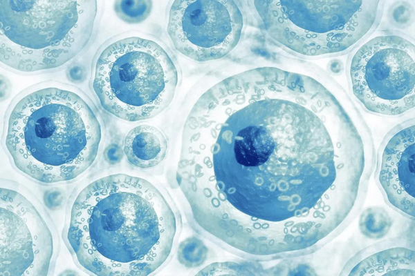 Stem Cell Activation Patch